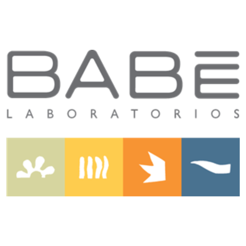 BABE logo